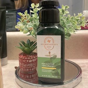 Bath and Body Works Foaming Hand Soap